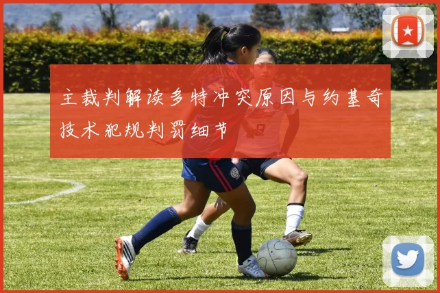 主裁判解读多特冲突原因与约基奇技术犯规判罚细节