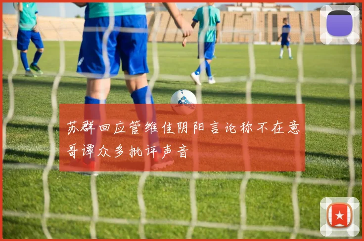 苏群回应管维佳阴阳言论称不在意哥谭众多批评声音