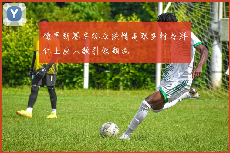 德甲新赛季观众热情高涨多特与拜仁上座人数引领潮流