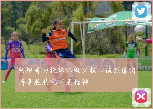 约维奇力挺球队缺少核心依然能拼搏争胜展现不屈精神