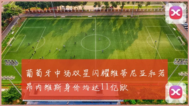 葡萄牙中场双星闪耀维蒂尼亚和若昂内维斯身价均达11亿欧